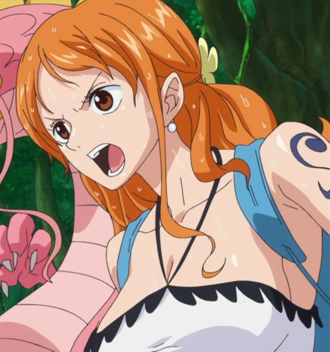Nami 739 By Berg Anime On Deviantart Nami 739 By Berg Anime On Deviantart
