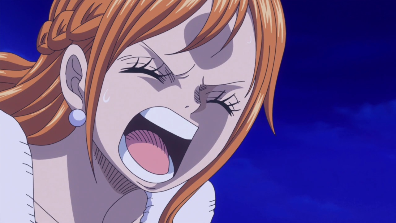 Nami crying for Sanji - One Piece ep 866 by Berg-anime on DeviantArt