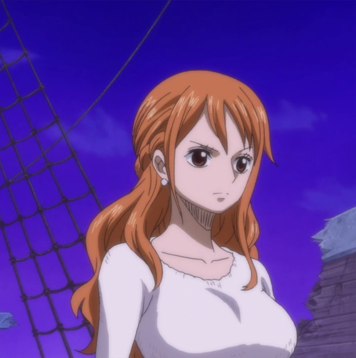 Nami - One Piece episode 877 by Berg-anime on DeviantArt