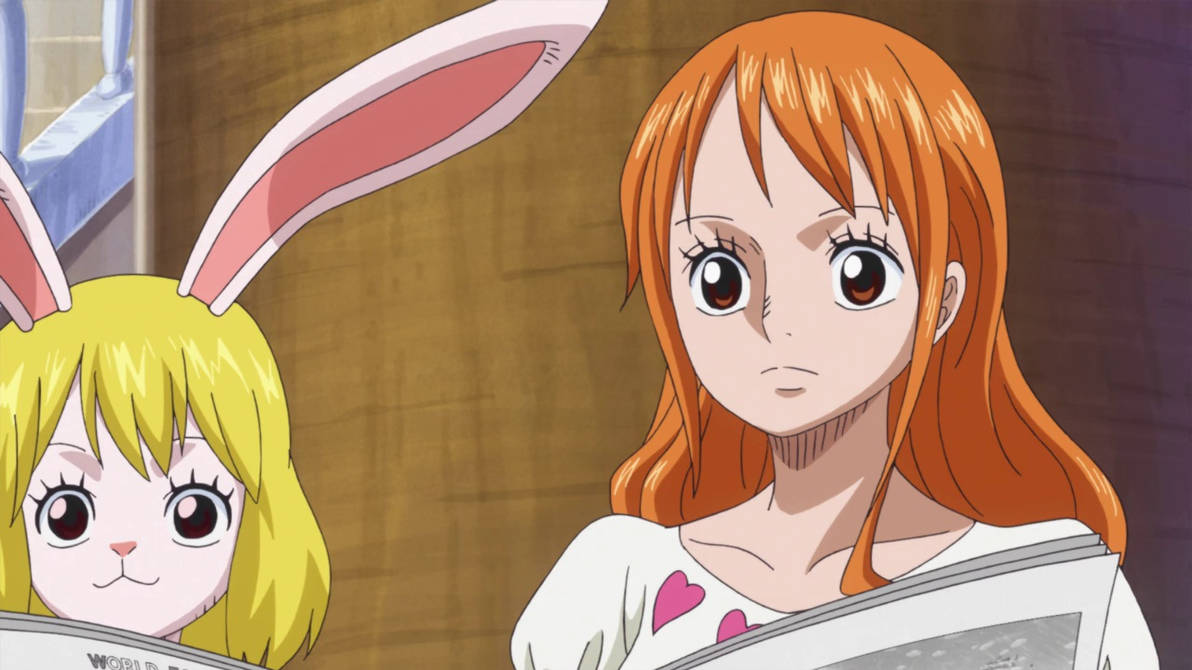 Nami and Carrot 880 by Berg-anime on DeviantArt