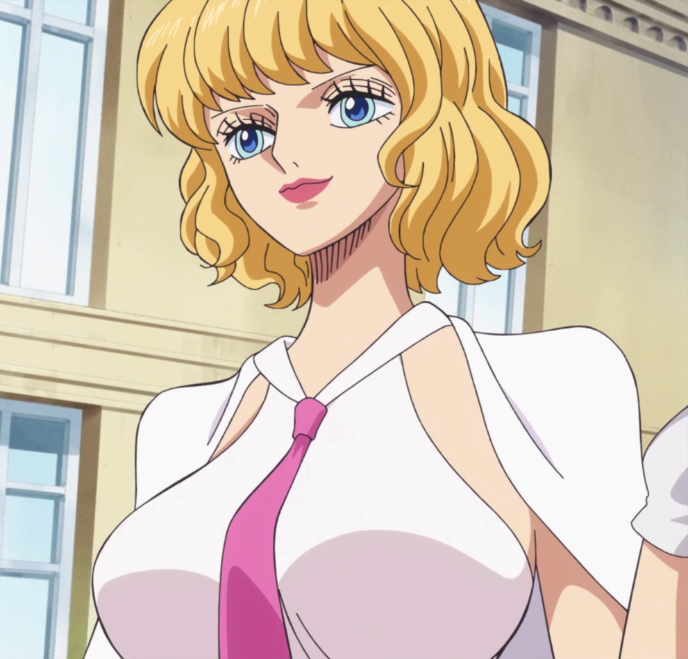 Stussy One Piece ep 886 by Berganime on DeviantArt