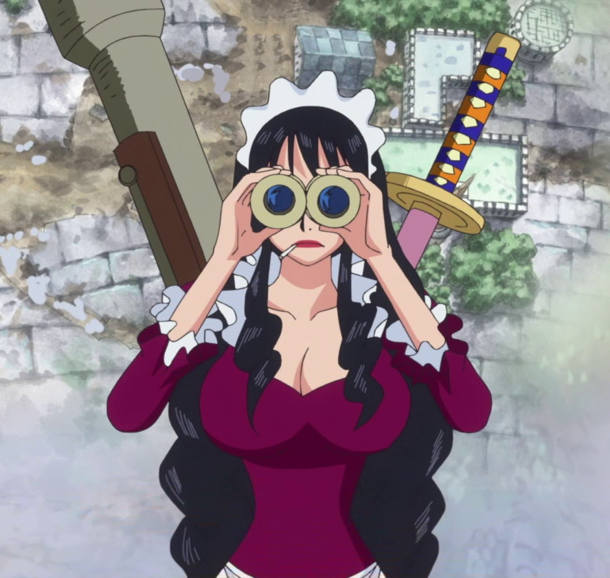 Baby 5 One Piece Ep 687 By Berg Anime On Deviantart Baby 5 One Piece Ep 687 By Berg Anime On Deviantart