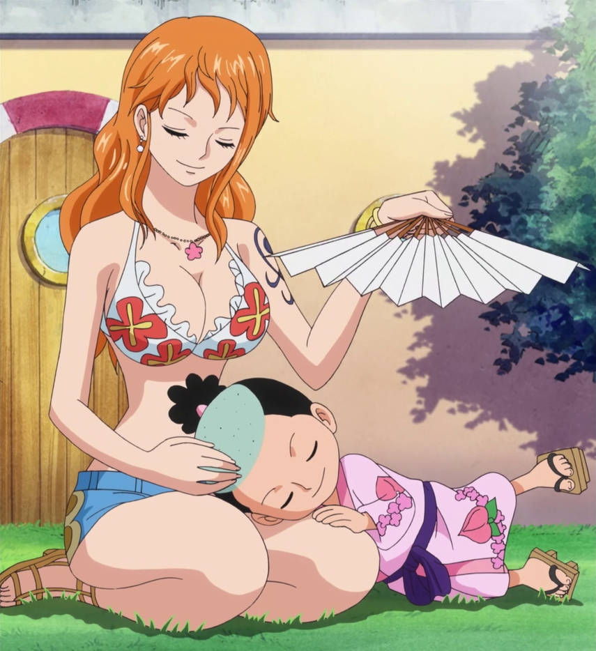Nami And Momonosuke One Piece Ep 635 By Berg Anime On Deviantart Nami And Momonosuke One Piece Ep 635 By Berg Anime On Deviantart
