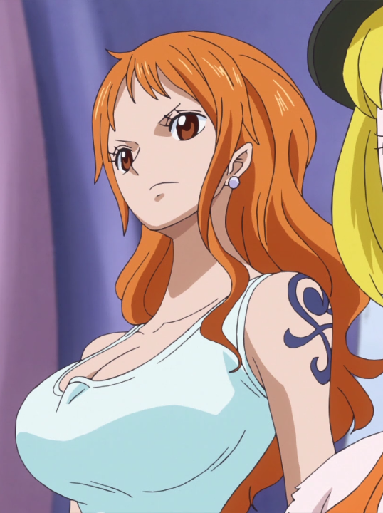 Nami in Episode 995 - One Piece by Berg-anime on DeviantArt