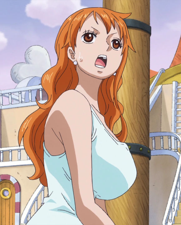 Nami and Chopper - One Piece ep 1073 by Berg-anime on DeviantArt