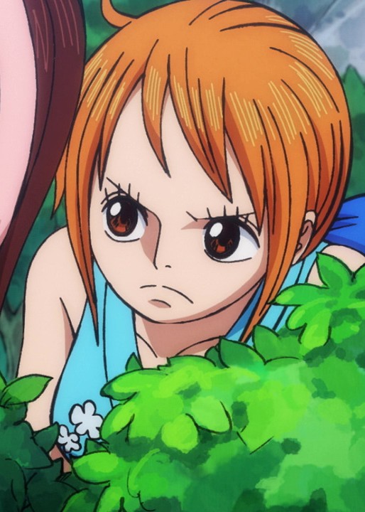 Nami - episode 853 (One Piece) by Berg-anime on DeviantArt