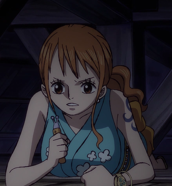 Nami adorable - One Piece episode 776 by Berg-anime on DeviantArt