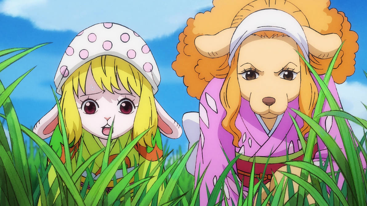 Carrot And Wanda One Piece Ep 938 By Berg Anime On Deviantart Carrot And Wanda One Piece Ep 938 By Berg Anime On Deviantart