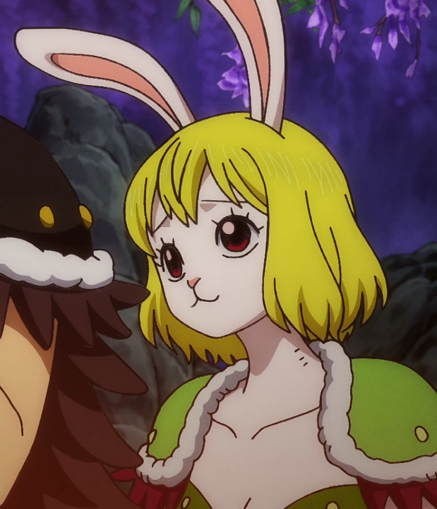 Carrot One Piece Ep 9 By Berg Anime On Deviantart Carrot One Piece Ep 9 By Berg Anime On Deviantart