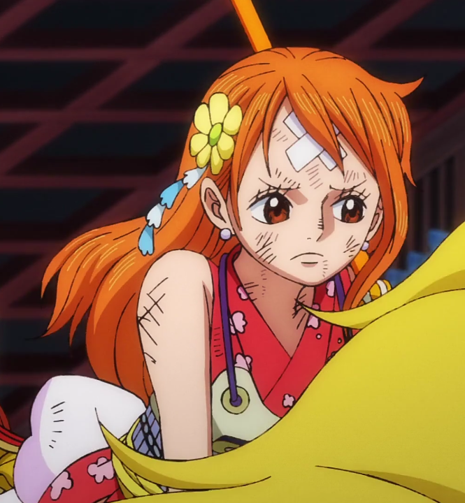 Nami - One Piece ep 1020 by Berg-anime on DeviantArt