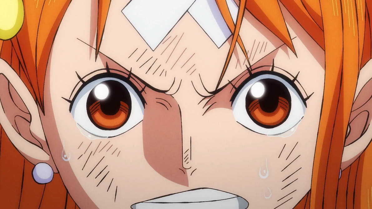 Nami 1031 by Berg-anime on DeviantArt