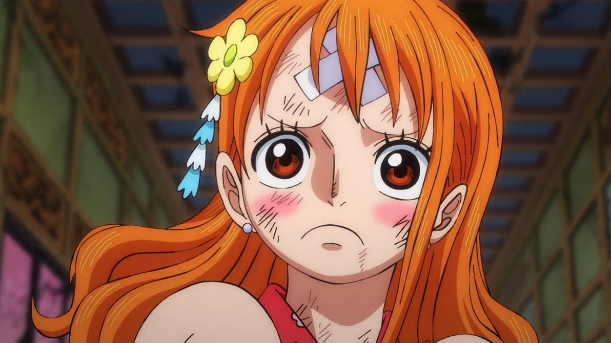 Nami Looks Nami super cute - One Piece ep 1038 by Berg-anime on DeviantArt