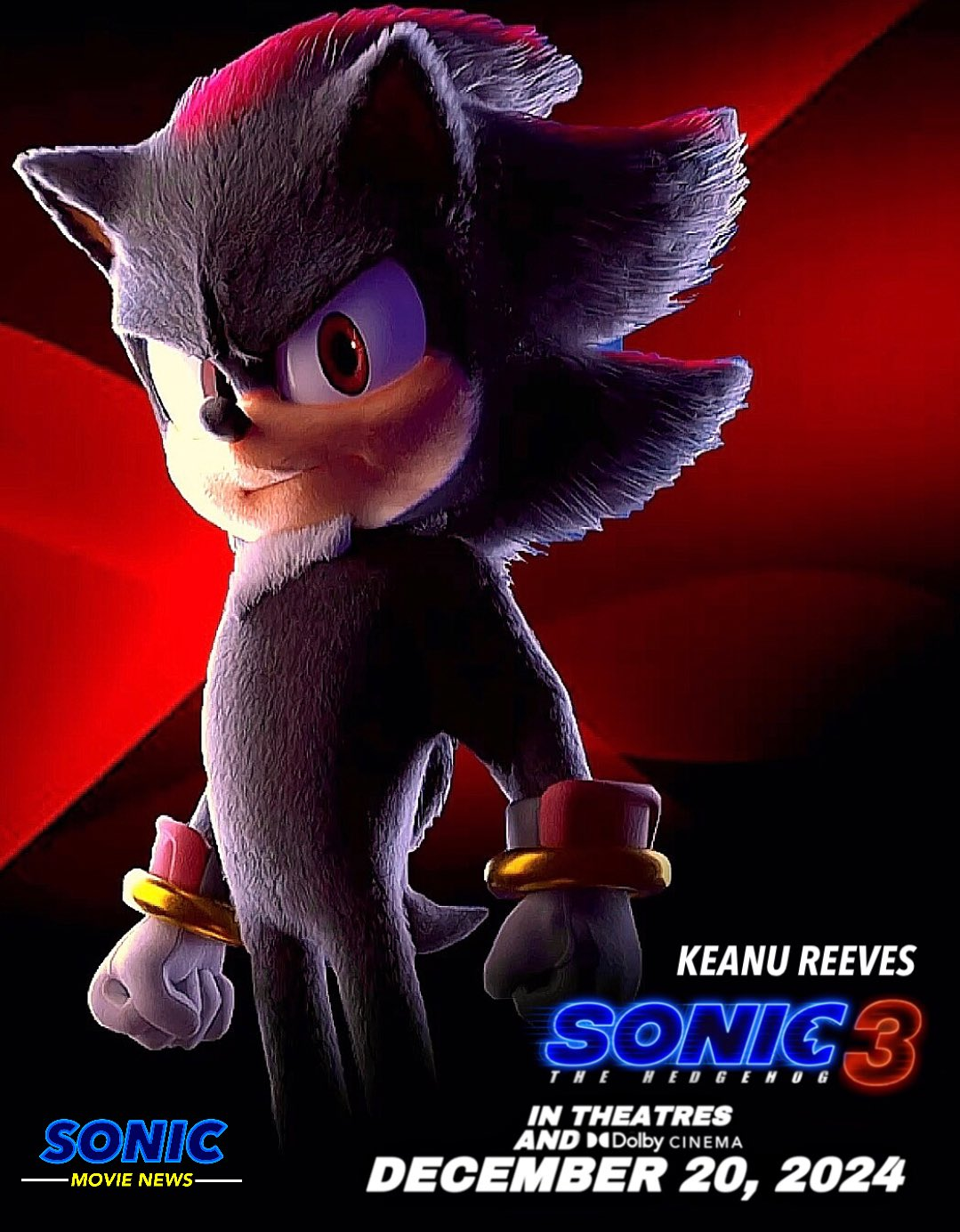 Sonic the Hedgehog 3 Movie Shadow the Hedgehog Poster 