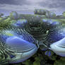 Mutual fractal Attraction