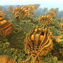 Strange life forms, growing towards the light