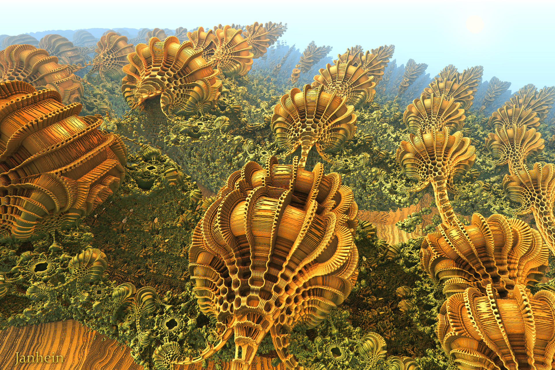Strange life forms, growing towards the light