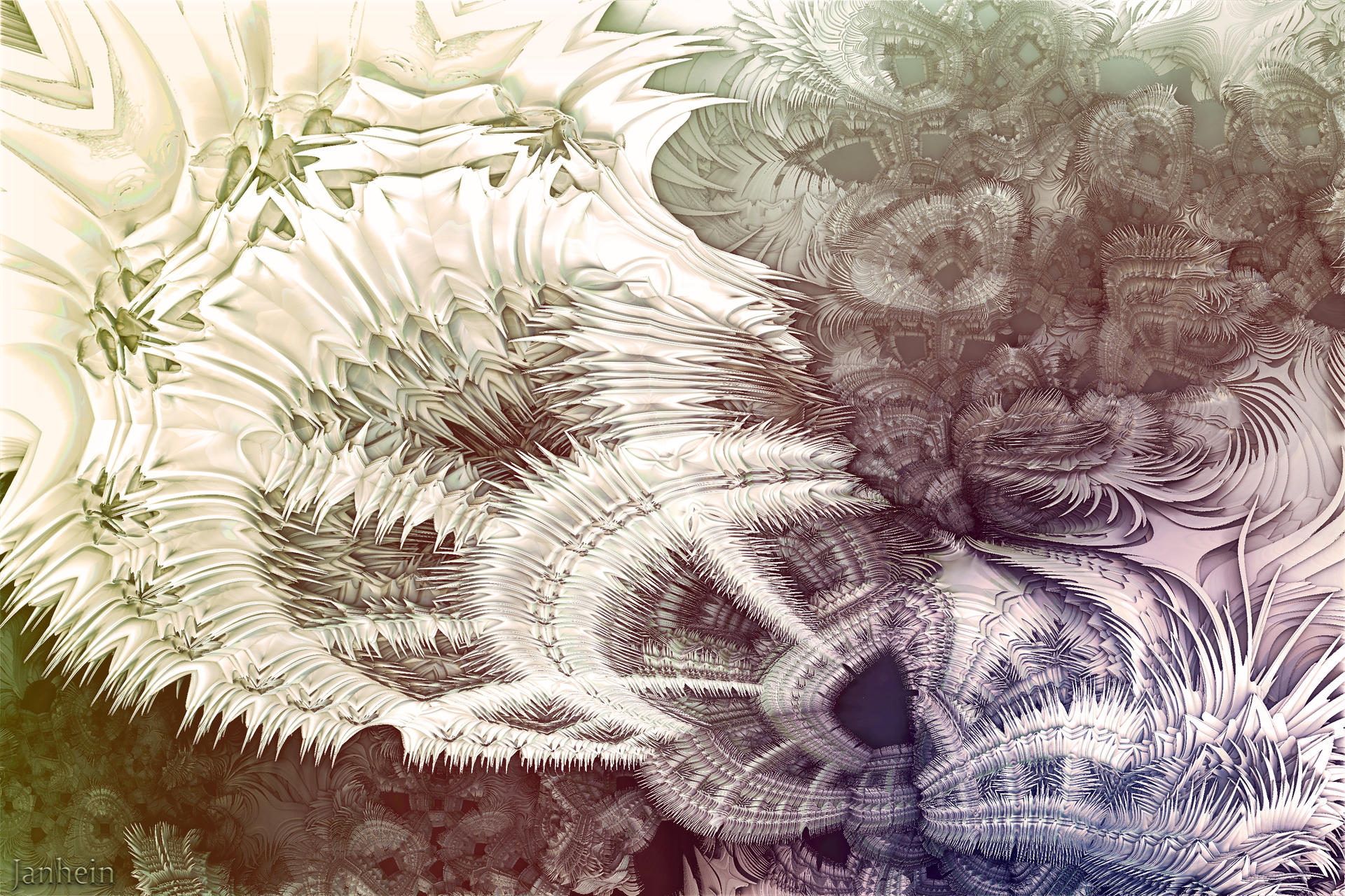Organic Metamorphosis