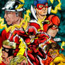 FLASH FAMILY