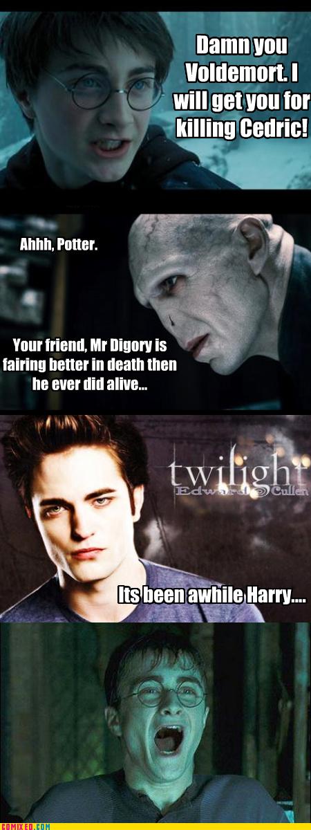 Harry Potter Voldemort Meme  Harry potter jokes, Harry potter memes, Harry  potter memes hilarious