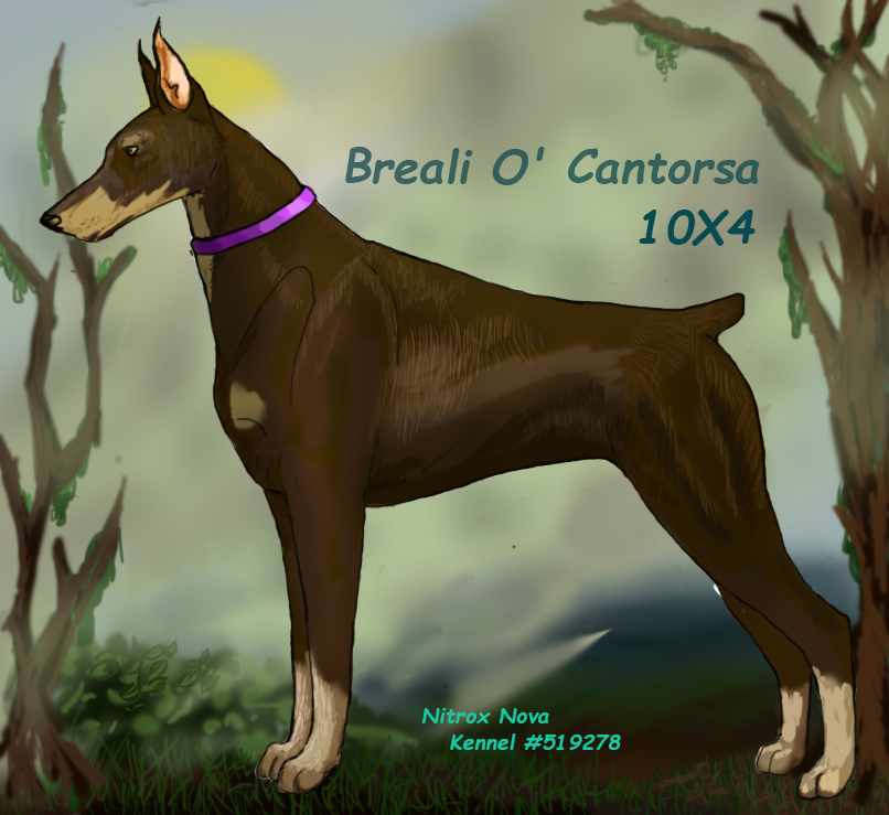 Doberman Pinscher 1 by nitroxnova on DeviantArt
