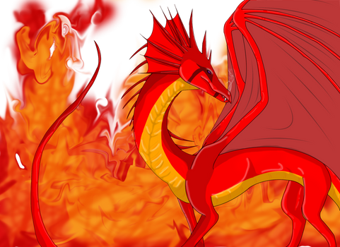 The Beauty Of Dragons:Kimaul'y