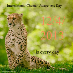 Cheetah Day 2013 by clippercarrillo