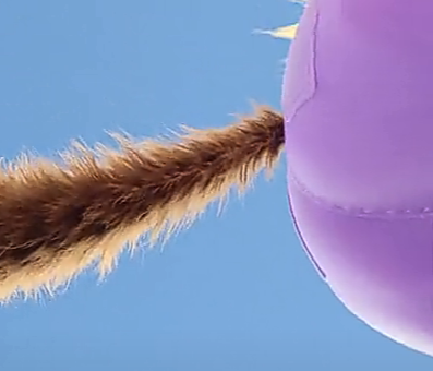 Ma Cheeks Butt by SirDamonte24 on DeviantArt