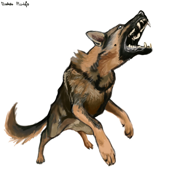 angry animals: dog by blankaizabela on DeviantArt angry animals: dog by blankaizabela on DeviantArt