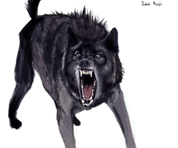 angry animals: wolf by blankaizabela on DeviantArt angry animals: wolf by blankaizabela on DeviantArt