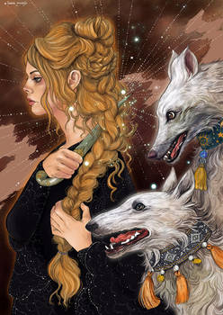 Berenice's braid and Hunting Dogs