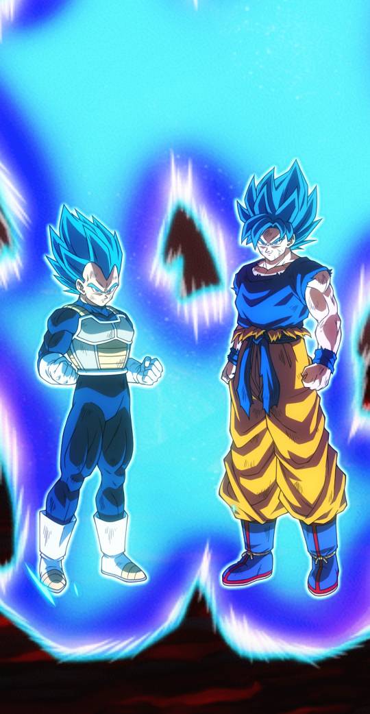 Dragon Ball Super Goku and Vegeta Super Sayajin blue