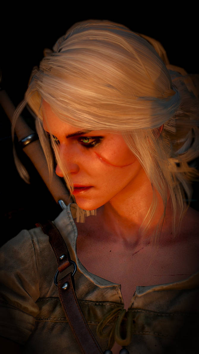 The Witcher 3: Wild Hunt by Dregline415 on DeviantArt