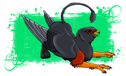 Red-footed Falcon Gryphon
