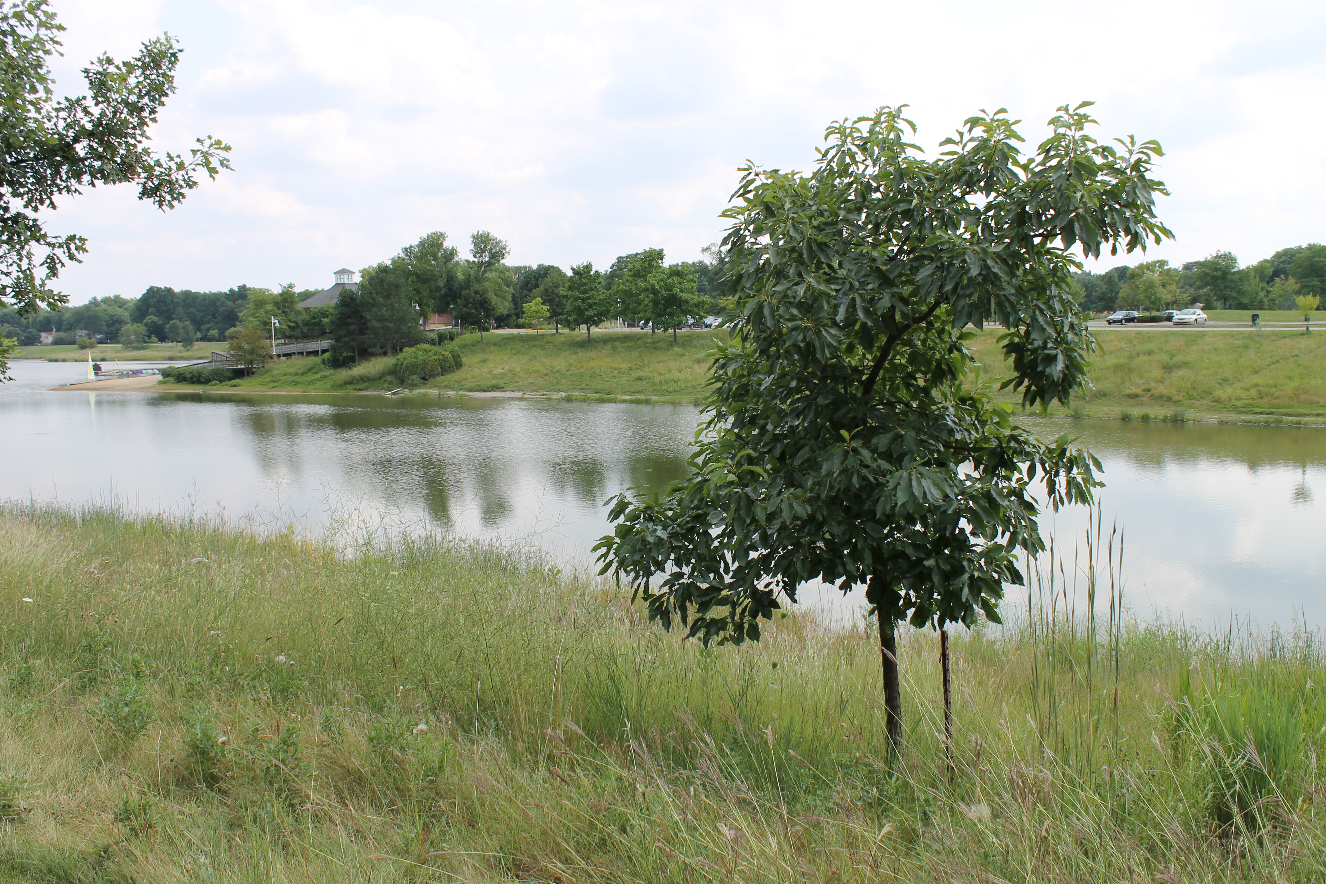 Lake Arlington-4