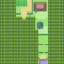 POKEMON Route 2, Kanto