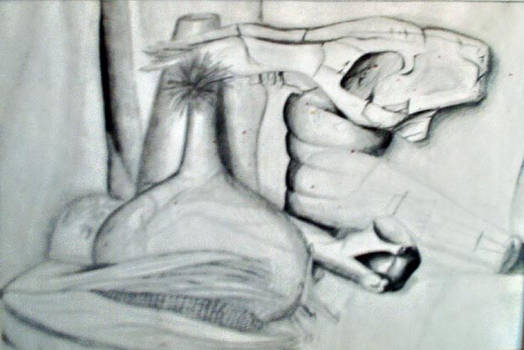 still life pencil