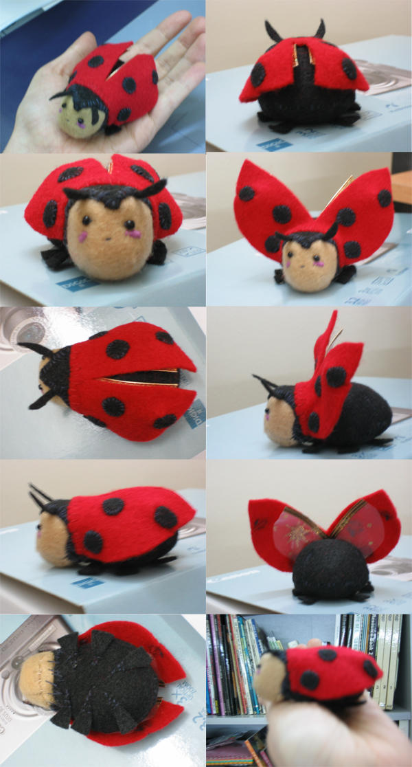 first ladybug ready