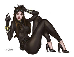 Catwoman from Dark knight rises