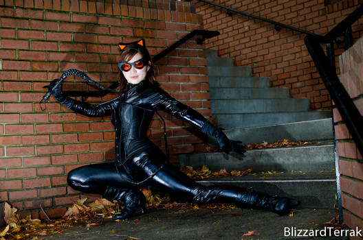 AI12 - Catwoman