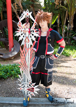 AX19 - Sora