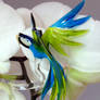 Parrot - orchid rod