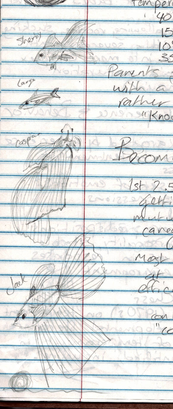 Fish Notes by Hasami-hime on DeviantArt