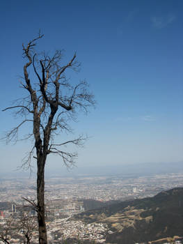 Monterrey