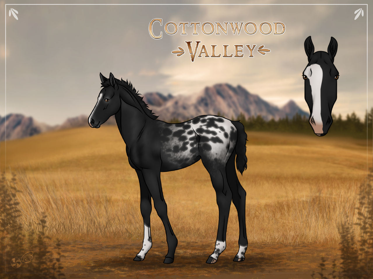 Quas by CV-Admin on DeviantArt