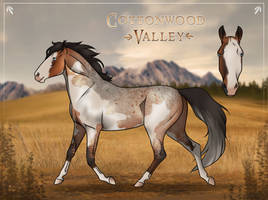 Scyllia (Foal)