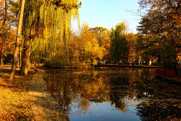 Beautiful autumn day