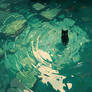 Ripples in Green