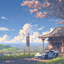 Rural Spring Cherry Blossoms