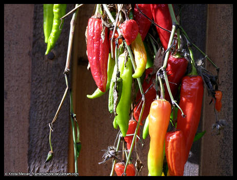 Grandpa's Peppers