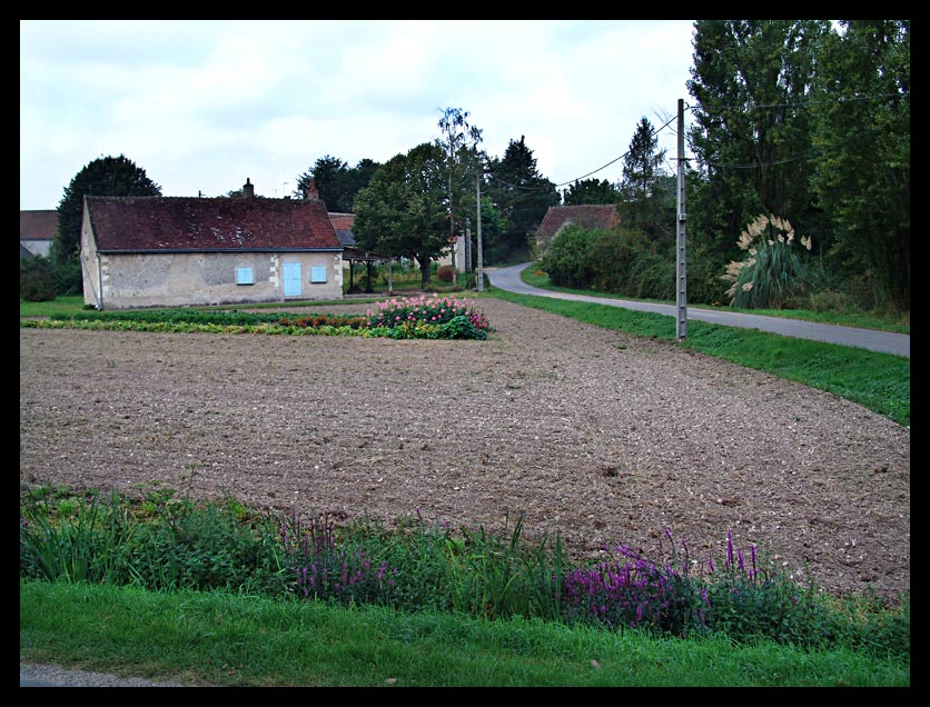 French Fields Forever